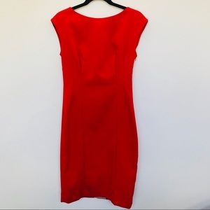 Anthropologie Evangeline Sheath Dress